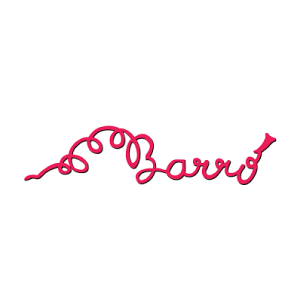 Cómo nos organizamos 7 Logo ABarro